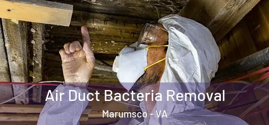 Air Duct Bacteria Removal Marumsco - VA