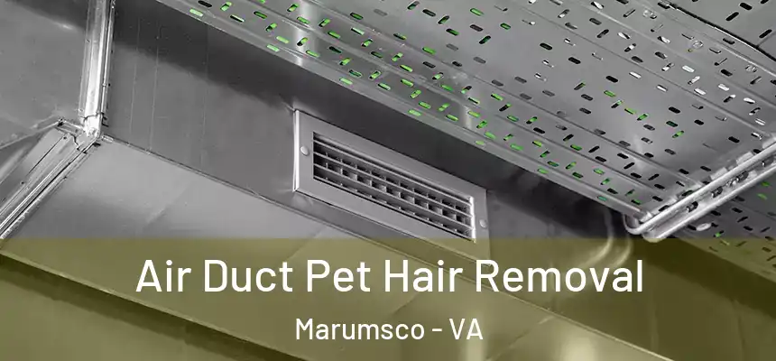 Air Duct Pet Hair Removal Marumsco - VA