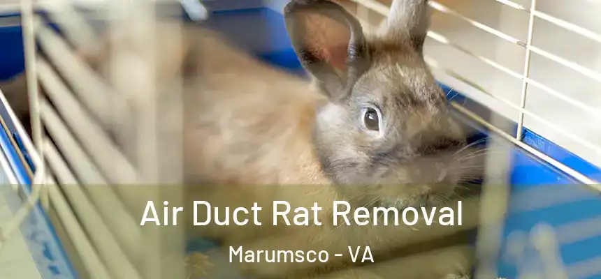 Air Duct Rat Removal Marumsco - VA