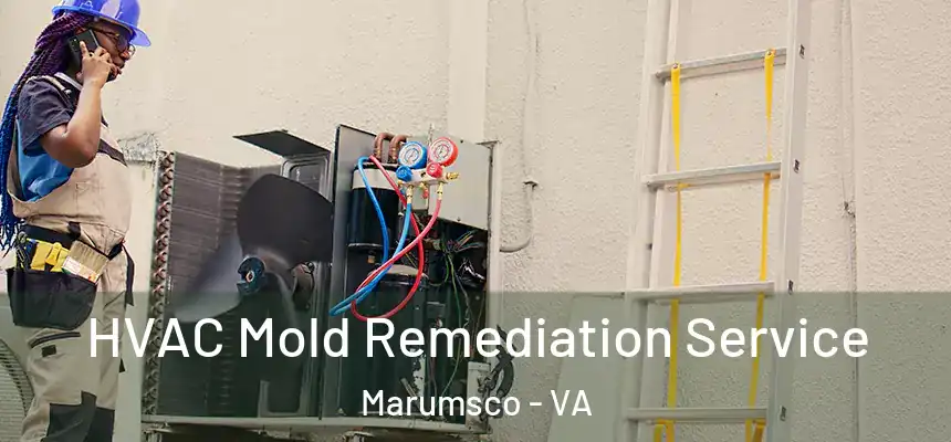  HVAC Mold Remediation Service Marumsco - VA