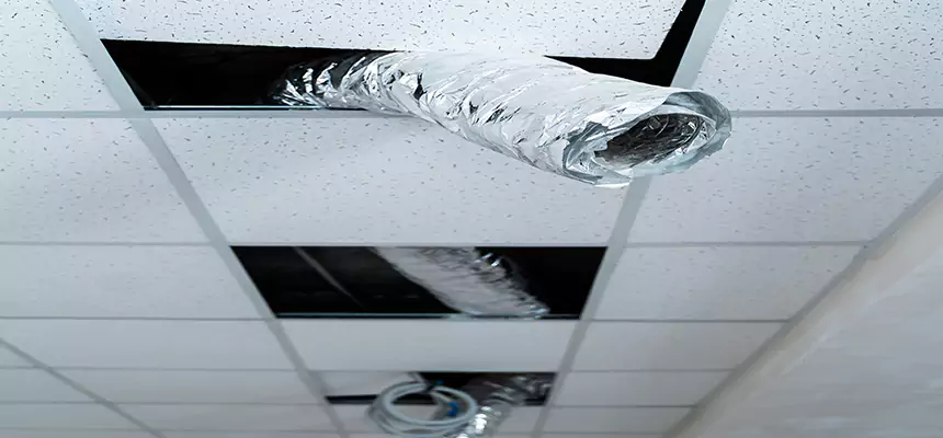 Affordable HVAC Sanitizing After Pest Removal in Marumsco