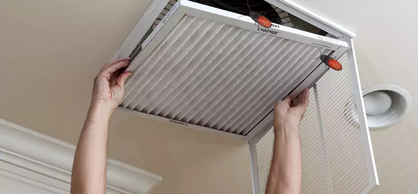 Our Insect Removal from Air Ducts Services in Marumsco, VA
