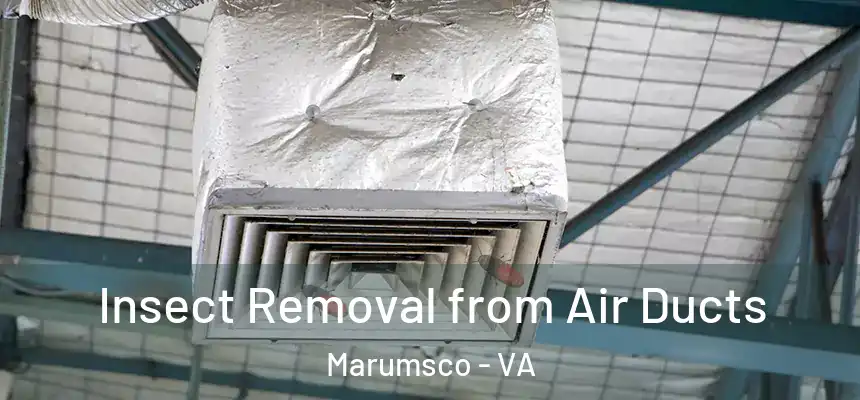  Insect Removal from Air Ducts Marumsco - VA