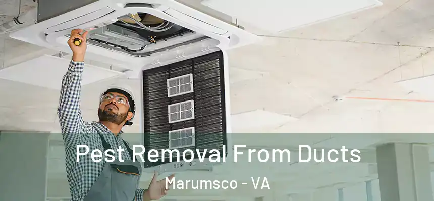 Pest Removal From Ducts Marumsco - VA