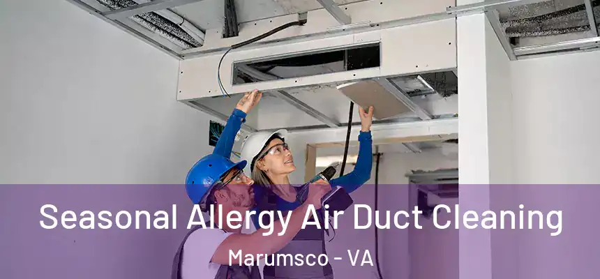 Seasonal Allergy Air Duct Cleaning Marumsco - VA