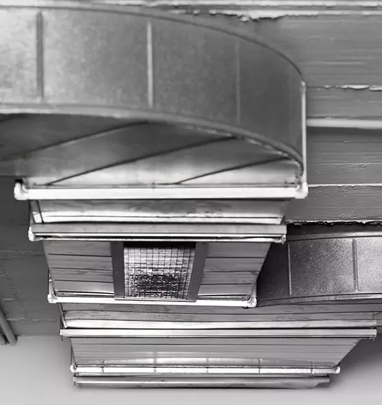 Professional Air Duct Pet Hair Removal in Marumsco, VA