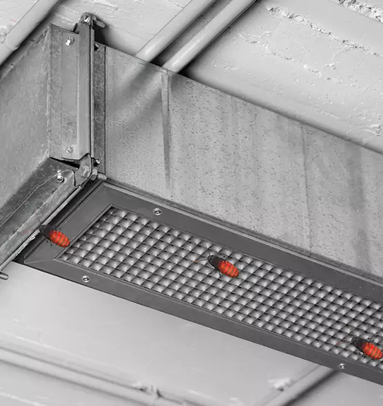 Affordable Insect Removal from Air Ducts in Marumsco, VA