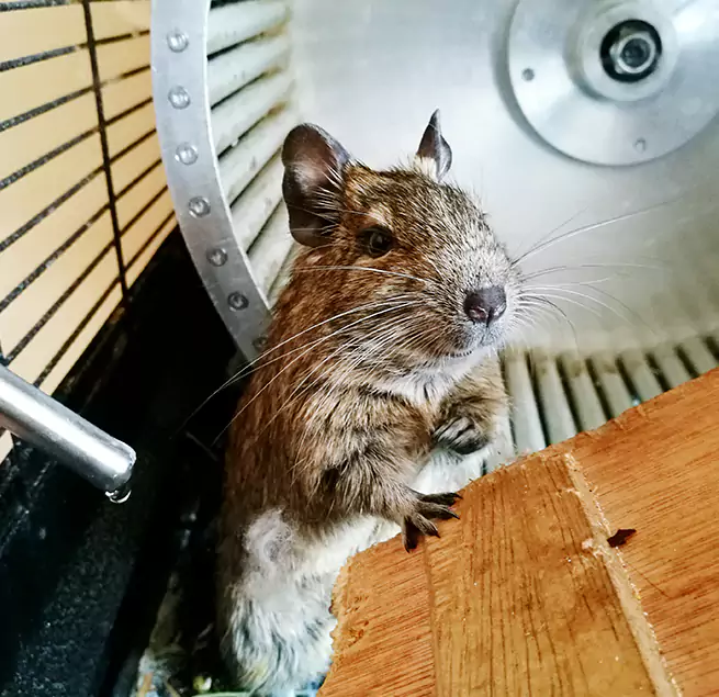 Why Homeowners & Businesses Trust Us Marumsco, VA